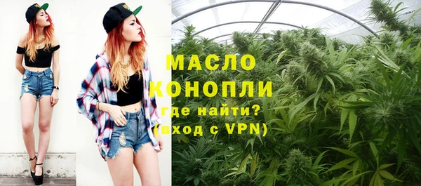 сатива Баксан