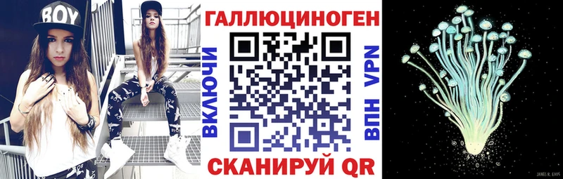 omg   Кстово  Псилоцибиновые грибы MAGIC MUSHROOMS 